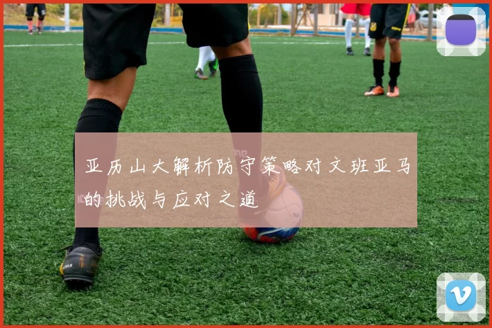 亚历山大解析防守策略对文班亚马的挑战与应对之道