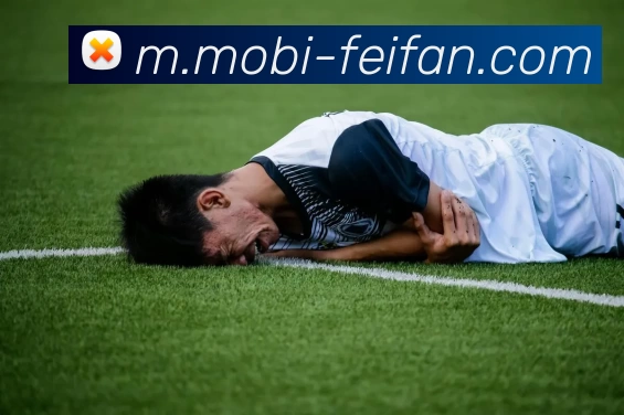 非凡娱乐服务体系